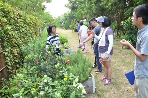 [博援隊4月成人活動推介]自然生態遊、和諧粉彩體驗工作坊接受報名!!!