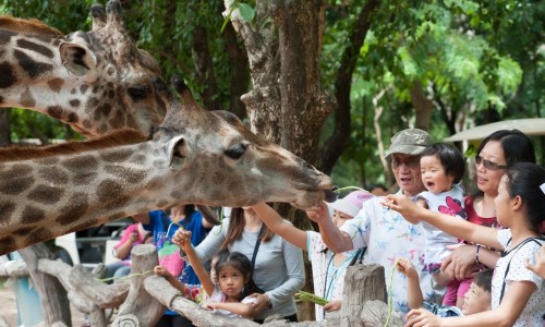 ［內地親子團］親親大自然一天遊即日起報名！可親身接觸動物！